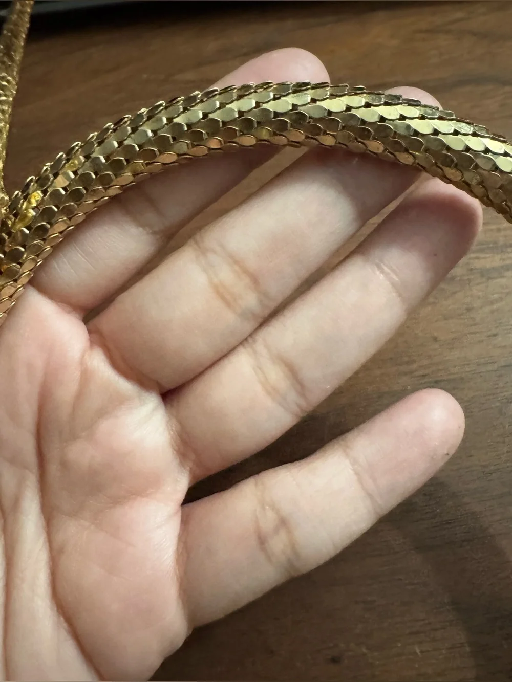 Vintage DL Auld Goldtoned Metal Mesh Adjustable Snake Choker Necklace *READ*